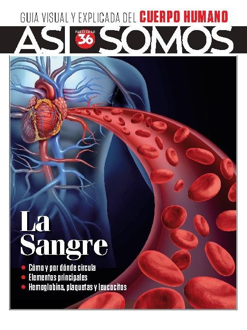 Title details for Así Somos - El cuerpo humano by Media Contenidos - Available